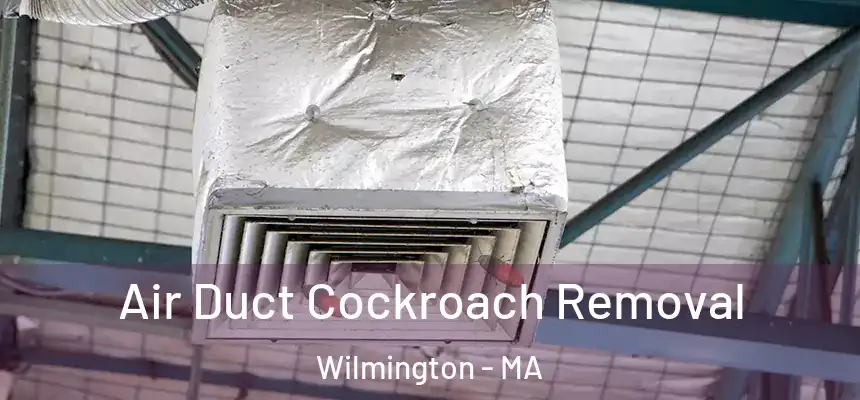 Air Duct Cockroach Removal Wilmington - MA