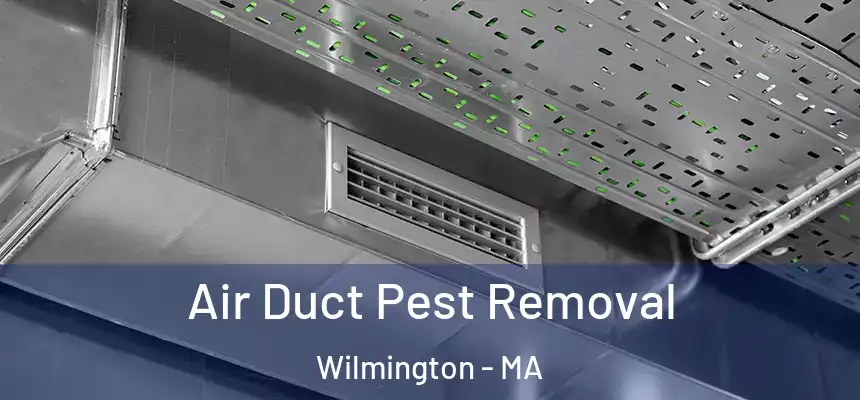 Air Duct Pest Removal Wilmington - MA