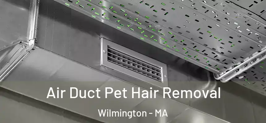  Air Duct Pet Hair Removal Wilmington - MA
