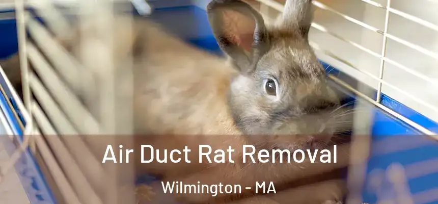  Air Duct Rat Removal Wilmington - MA