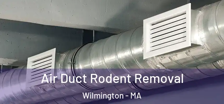 Air Duct Rodent Removal Wilmington - MA