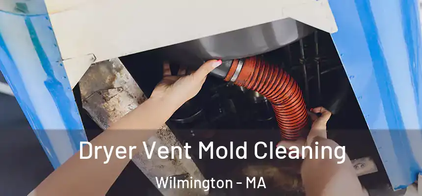  Dryer Vent Mold Cleaning Wilmington - MA