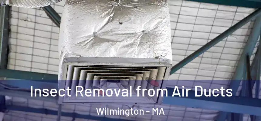  Insect Removal from Air Ducts Wilmington - MA