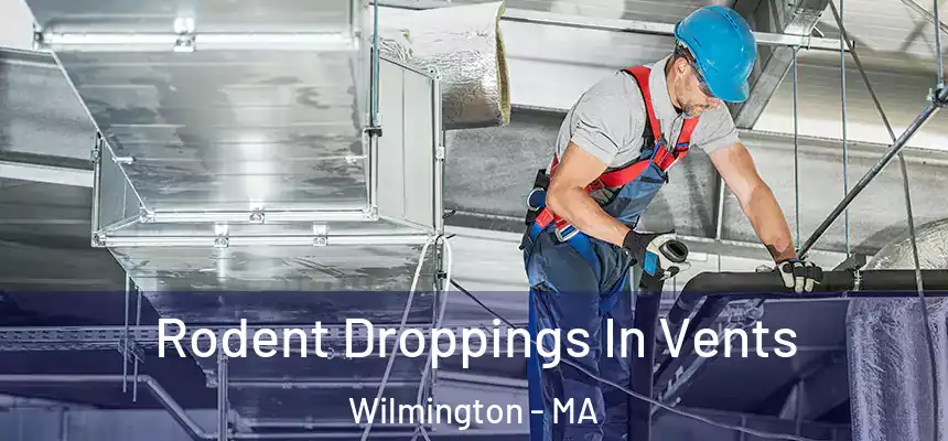  Rodent Droppings In Vents Wilmington - MA