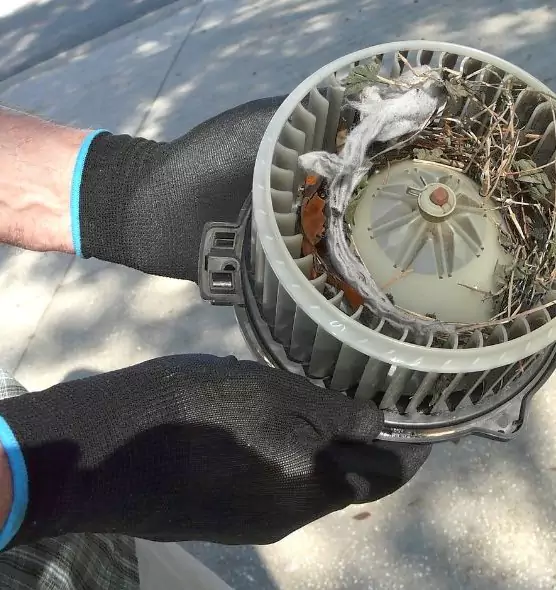 About Air Duct Rat Removal in Wilmington, MA