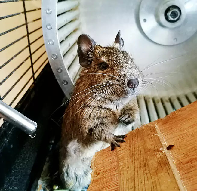 Why Homeowners & Businesses Trust Us Wilmington, MA