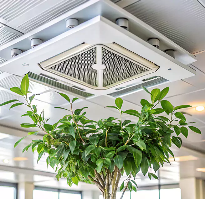 Why Homeowners & Businesses Trust Us in Wilmington, MA